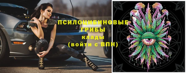 дурь Абдулино