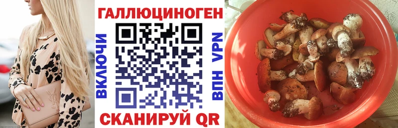 Псилоцибиновые грибы мухоморы  Лосино-Петровский 