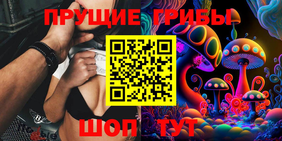 Галлюциногенные грибы Psilocybine cubensis Лосино-Петровский