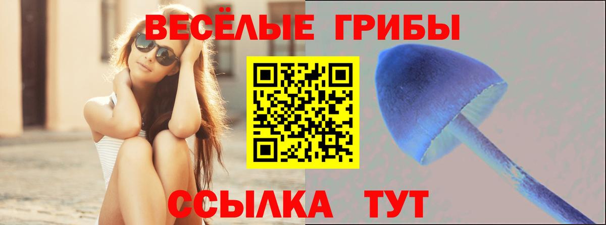 Псилоцибиновые грибы MAGIC MUSHROOMS  дарнет шоп  Лосино-Петровский  Вход с VPN  Псилоцибиновые грибы Magic Shrooms 